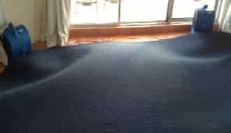 cuci karpet banjir Karpet banjir